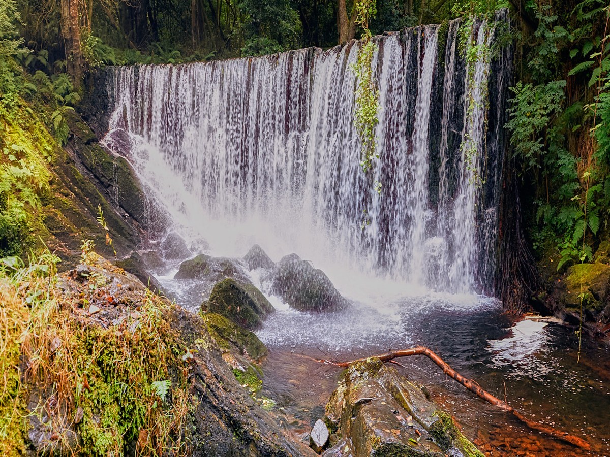 Mazo de Meredo,&nbsp;Asturias