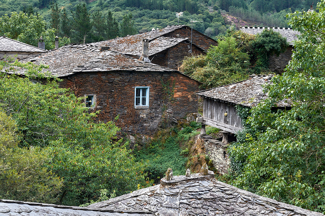 Argul Aldea Asturias